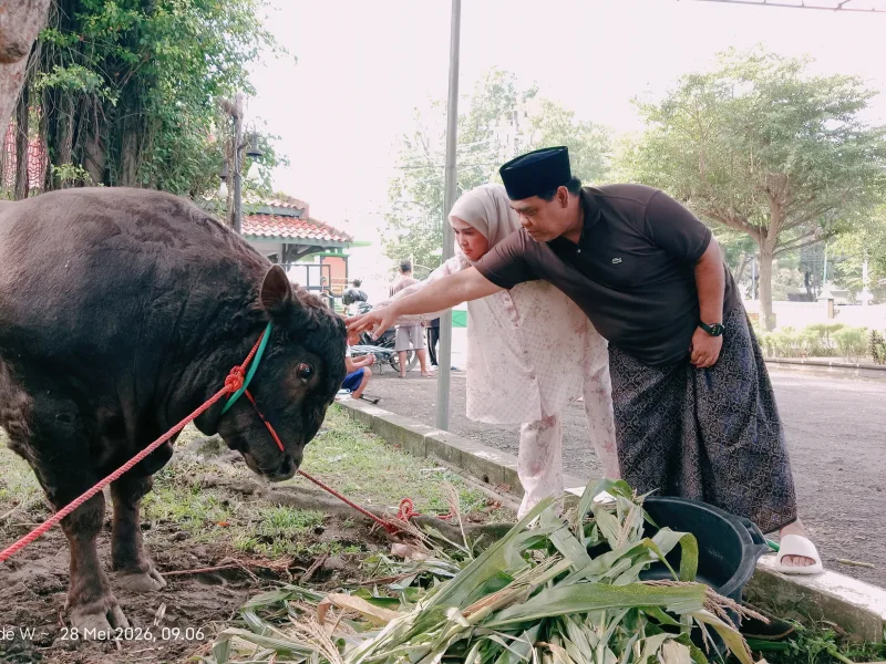 Kurban Sapi Super Jumbo di Rumah Dinas Wabup Tegal, Ahmad Kholid Ajak Warga Peduli Sesama