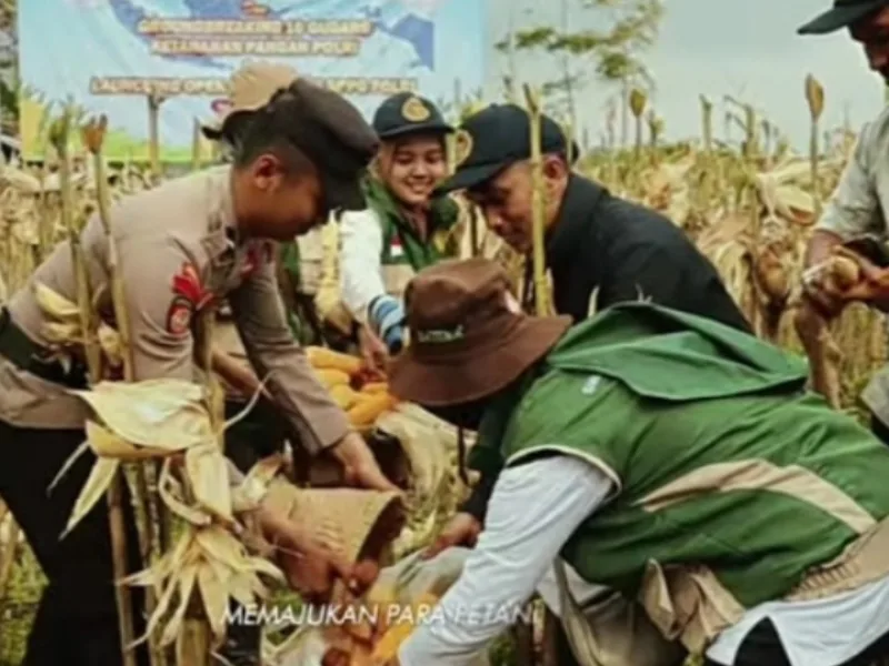 Polres Wonosobo bersama Forkopimda Panen Raya Jagung Serentak Kuartal II