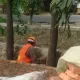 Proyek Taman di Samping Jembatan 6 Rawalumbu Disorot, Sudah Sepekan Berjalan Diduga Tanpa Papan Informasi
