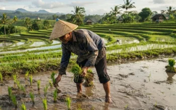 NTP Tembus 118,27 pada Juni 2026 , Petani Di Jawa Tengah Kini Tersenyum Ceria